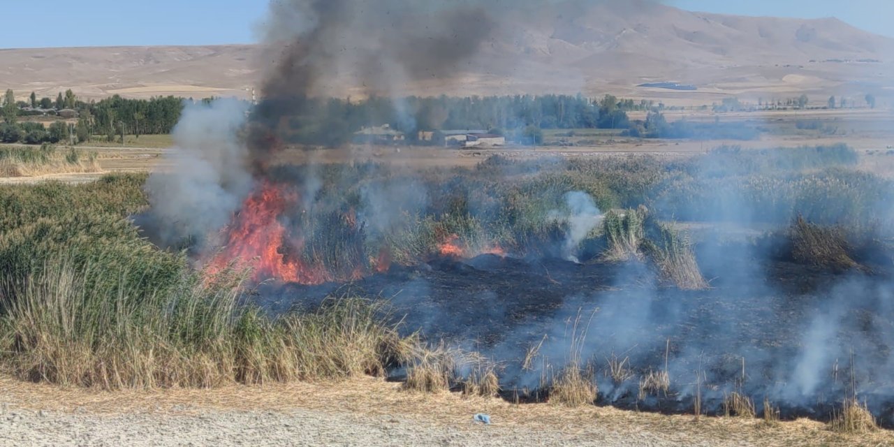 Prof. Dr. Lokman Aslan: "Sulak alanlar tabiatın rahimleridir"