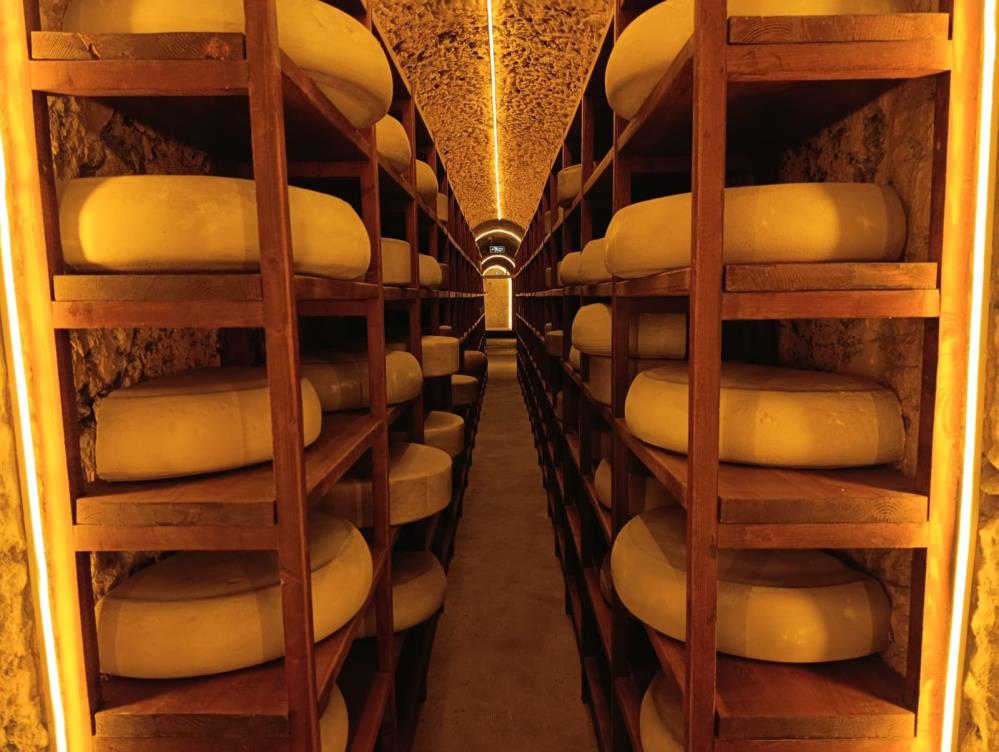 Kars Peynir Müzesi yoğun ilgi görüyor