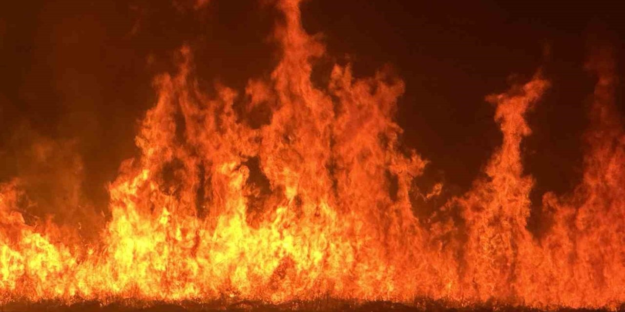 Yüksekova’da kuş cenneti Nehil Sazlığı’ndaki yangın yerleşim yerlerini tehdit ediyor