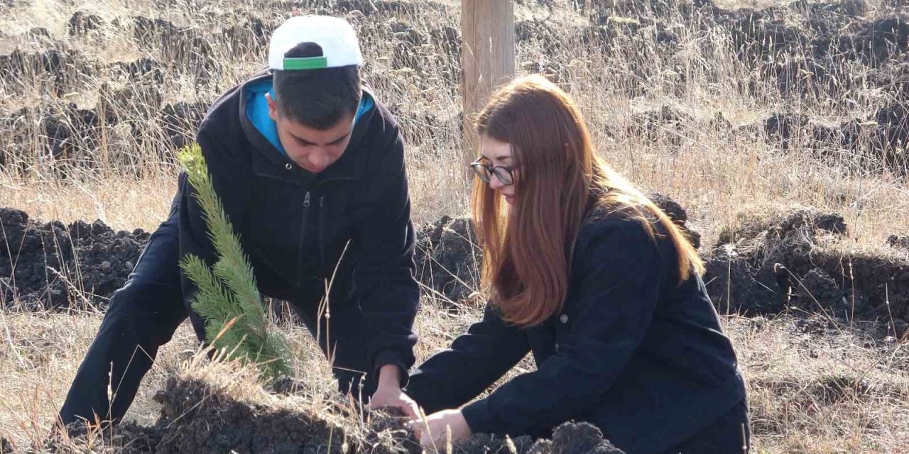 Ardahan’da Milli Ağaçlandırma Günü’nde fidanlar toprakla buluştu