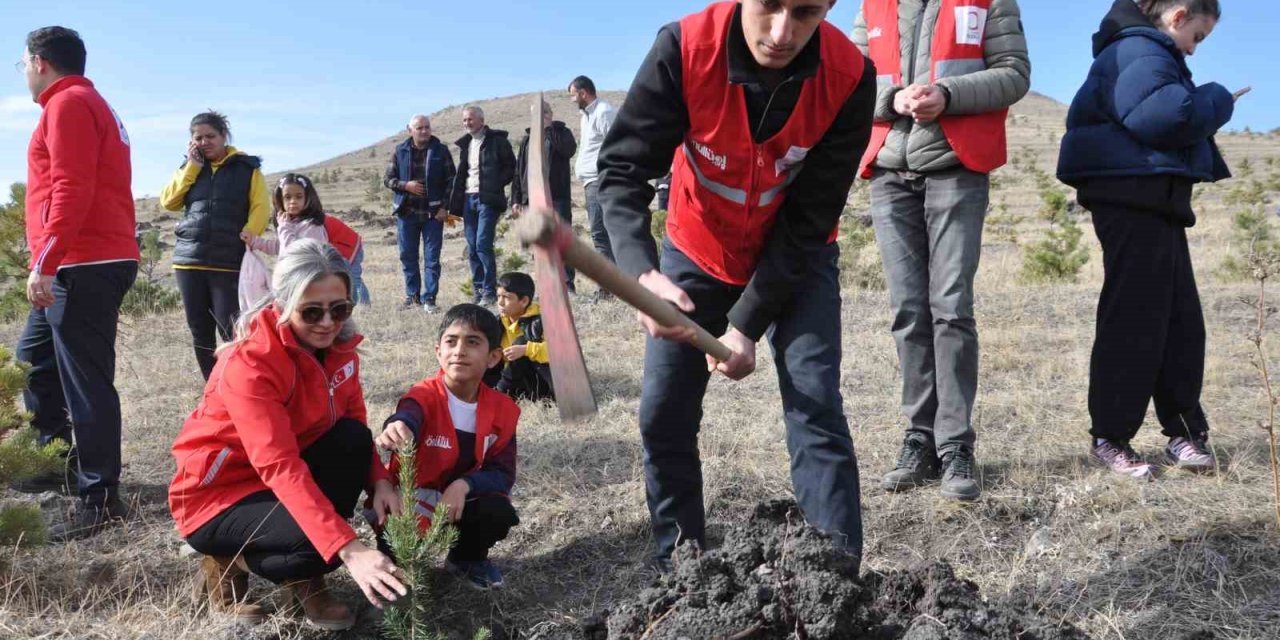 Kars’ta 5 bin 500 fidan toprakla buluştu