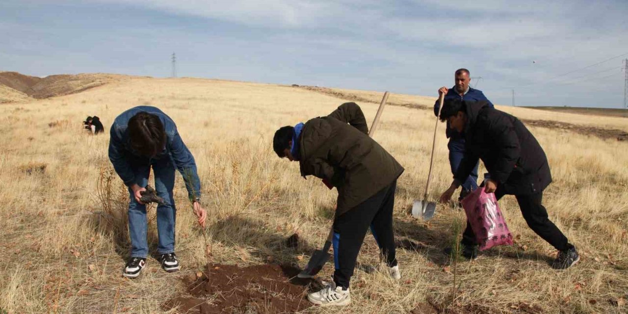Ahlat’ta "Maziden Atiye" programı kapsamında öğrenciler fidan dikti