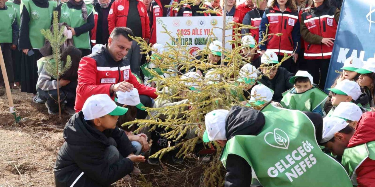 Aile Yılı’nda anlamlı buluşma: Aile Hatıra Ormanı’nda fidanlar toprakla buluştu