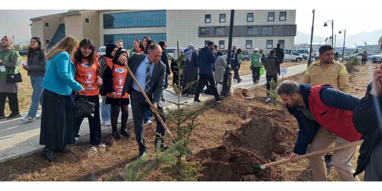 GSİM spor kampüslerine meyve ağacı dikti