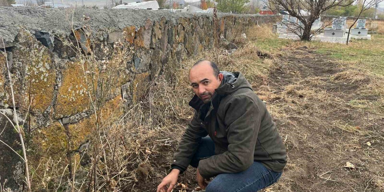 Kars’ta muhtardan örnek davranış: Kayaköprü köyünde fidanlar toprakla buluştu