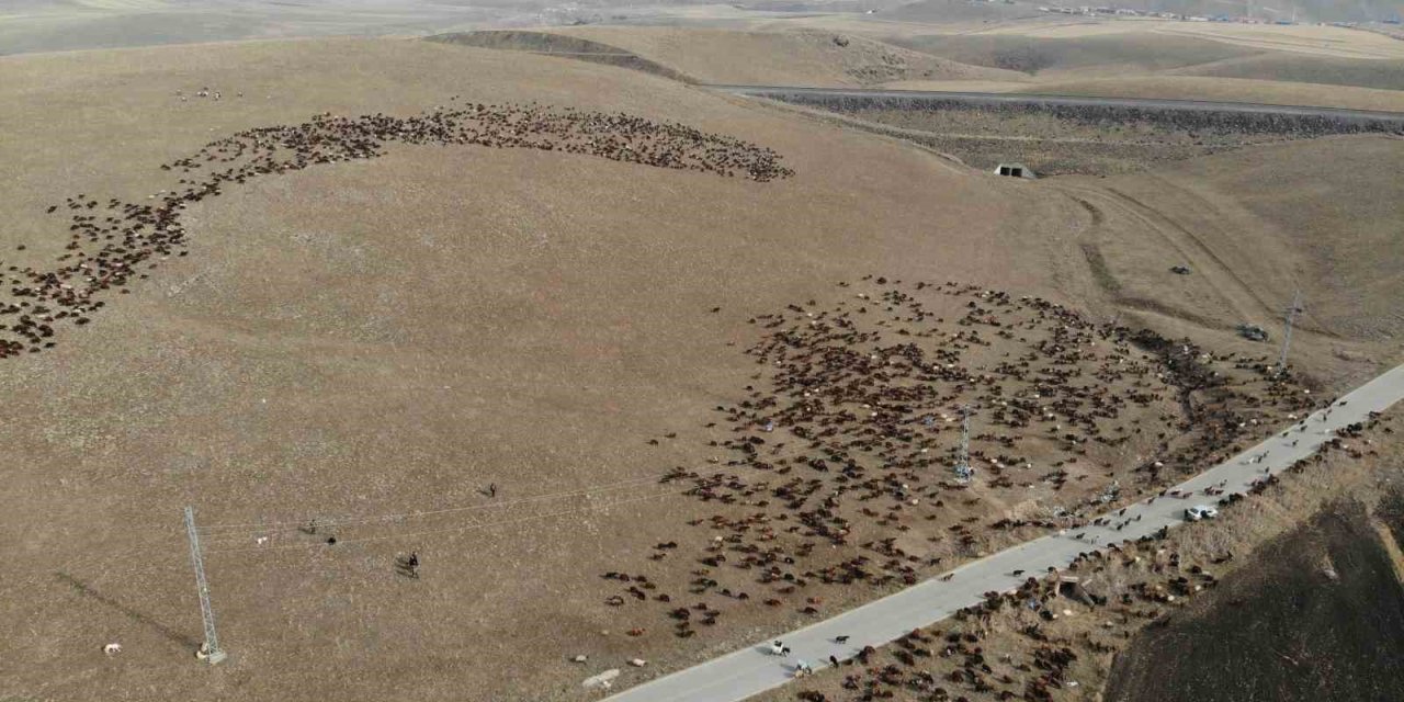 Kars’ta göçerlerin zorlu yolculuğu başladı