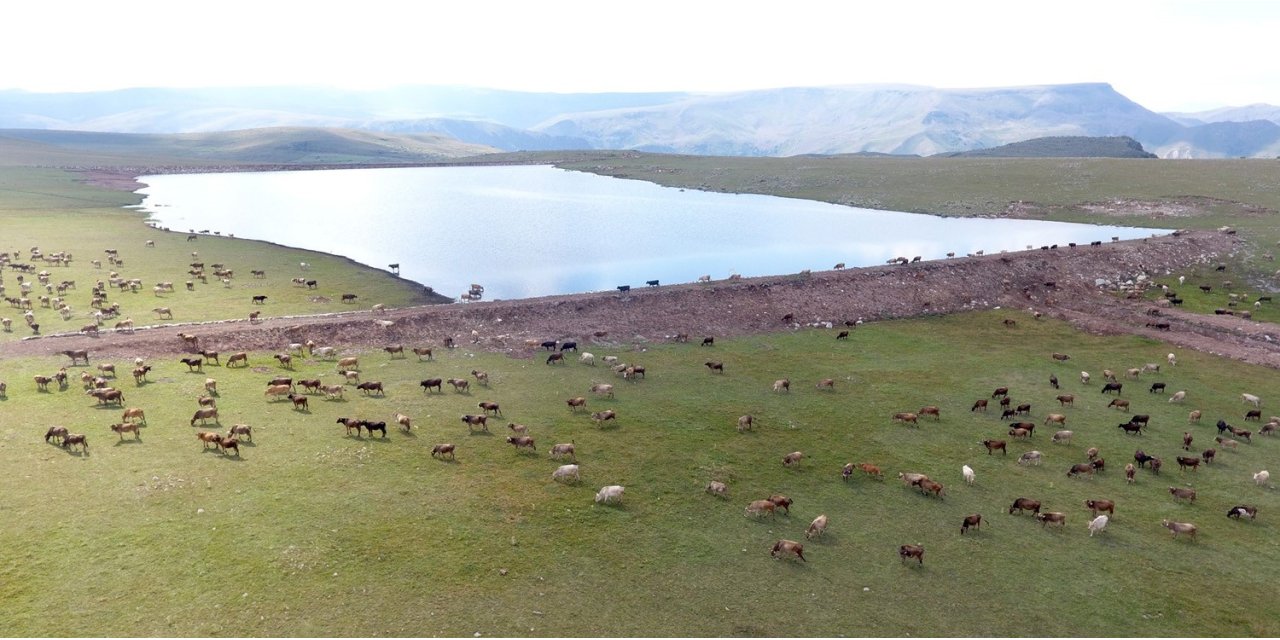 Gölet yapımında Türkiye’ye örnek olan şehir: Erzurum