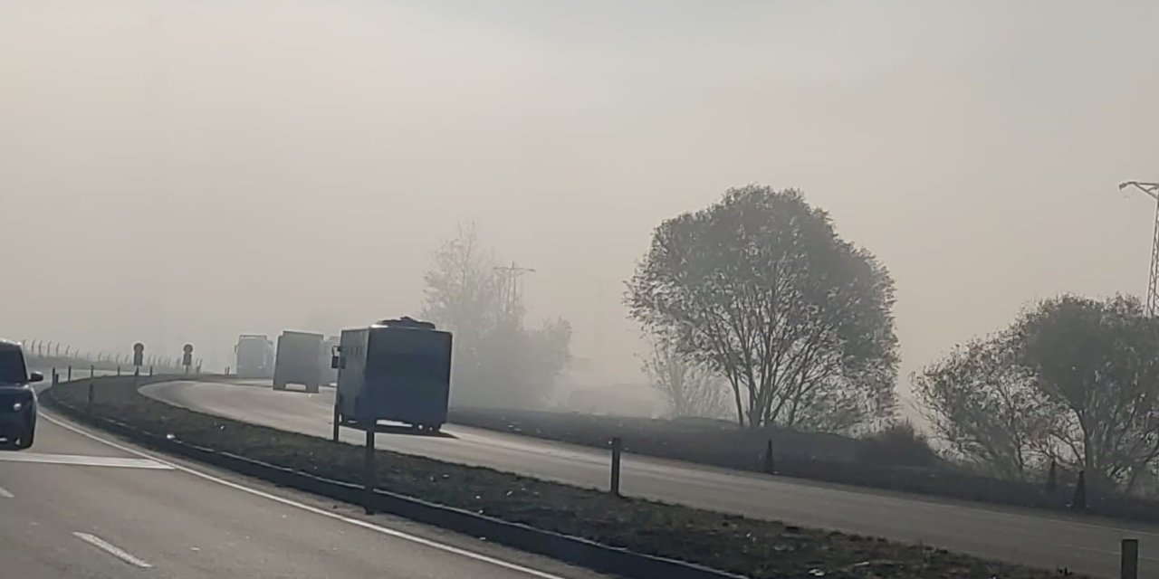 Bingöl’de sis etkili oldu