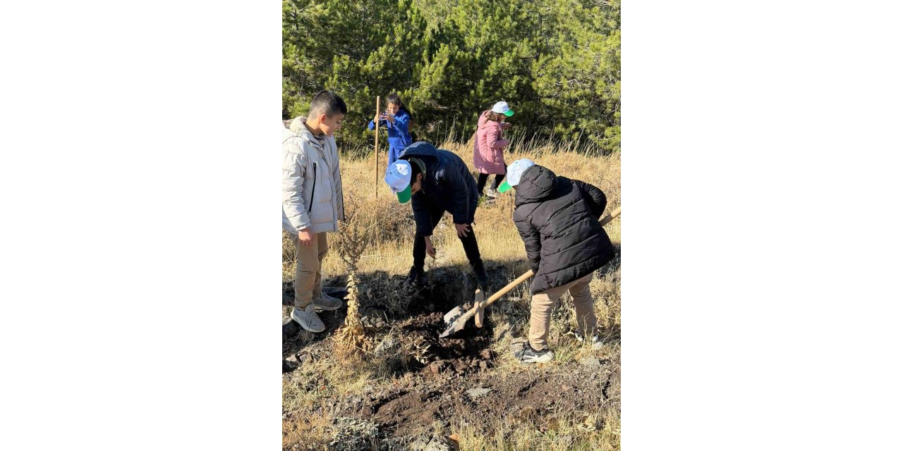 Sivrice’de fidan dikme etkinliği düzenlendi
