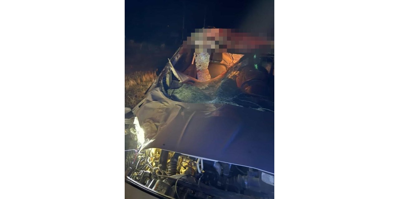 Muş’ta hafif ticari araç ata çarptı: 2 yaralı