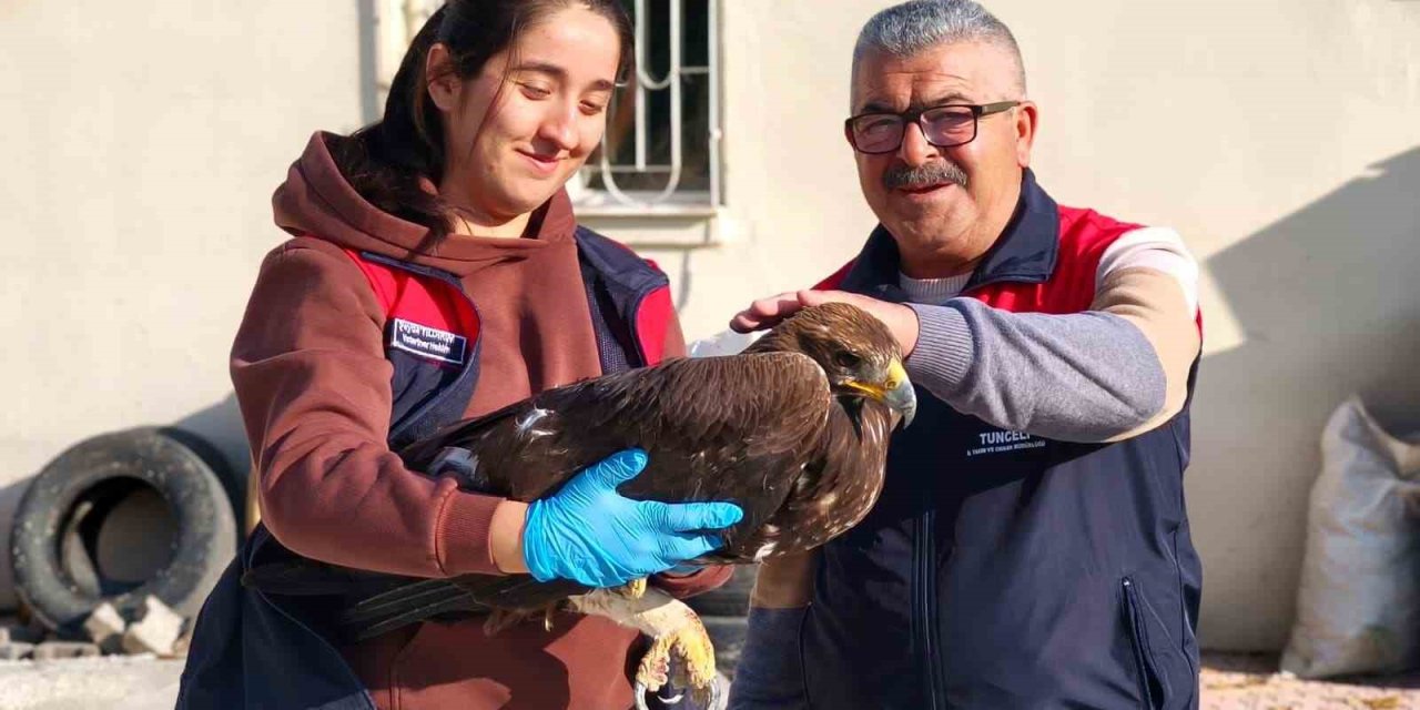Tunceli’de yaralı halde bulunan kartal, tedavi altına alındı