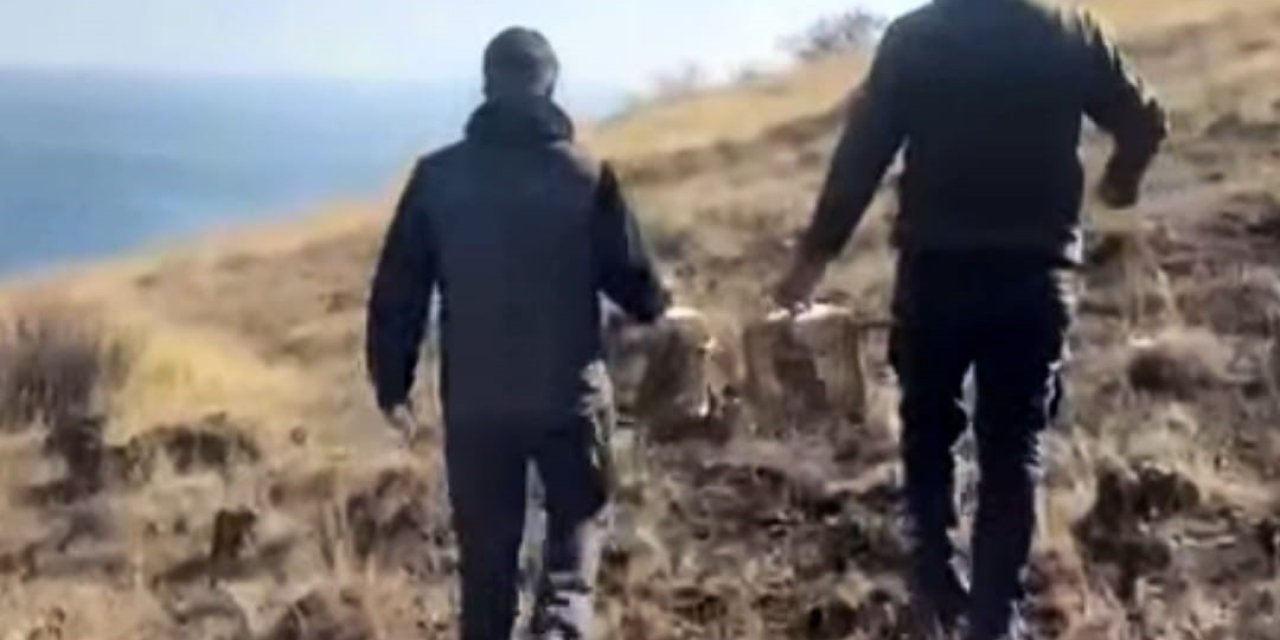 Rehabilite edilen keklikler yeniden doğayla buluştu