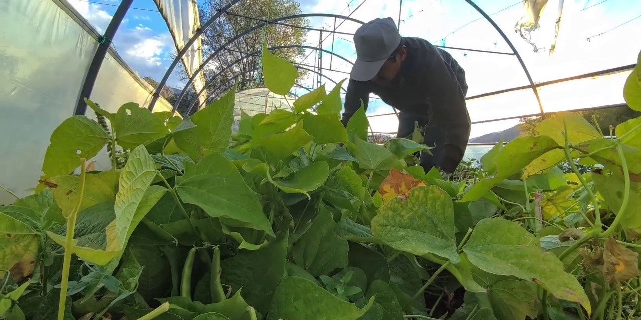 Ünlü şeflerin vazgeçilmez lezzeti: İspir Fasulyesi dünyayı fethediyor