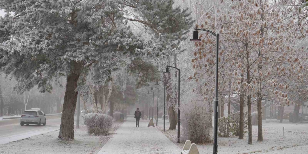 Erzurum güne sis ve kırağı ile uyandı