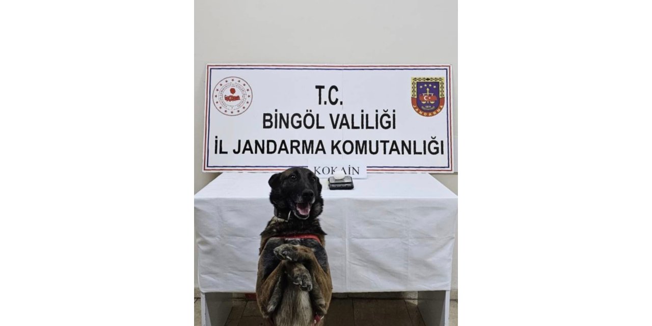 Bingöl’de uyuşturucuyla mücadele