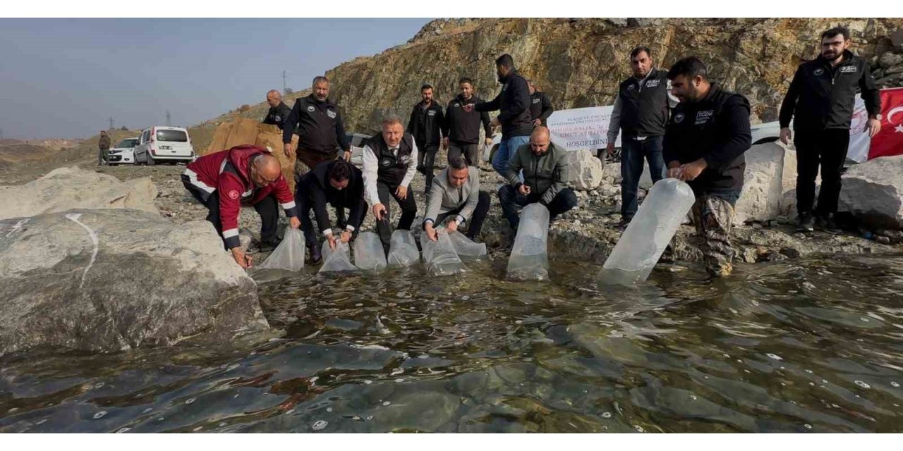 Karakaya Baraj Gölü’ne 420 bin yavru balık bırakıldı