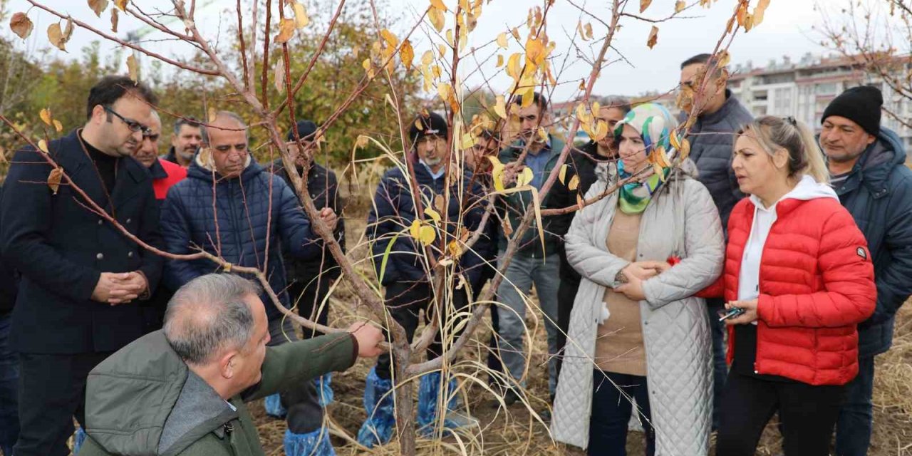 Elazığ’da ağaç budama ve aşılama eğitimi