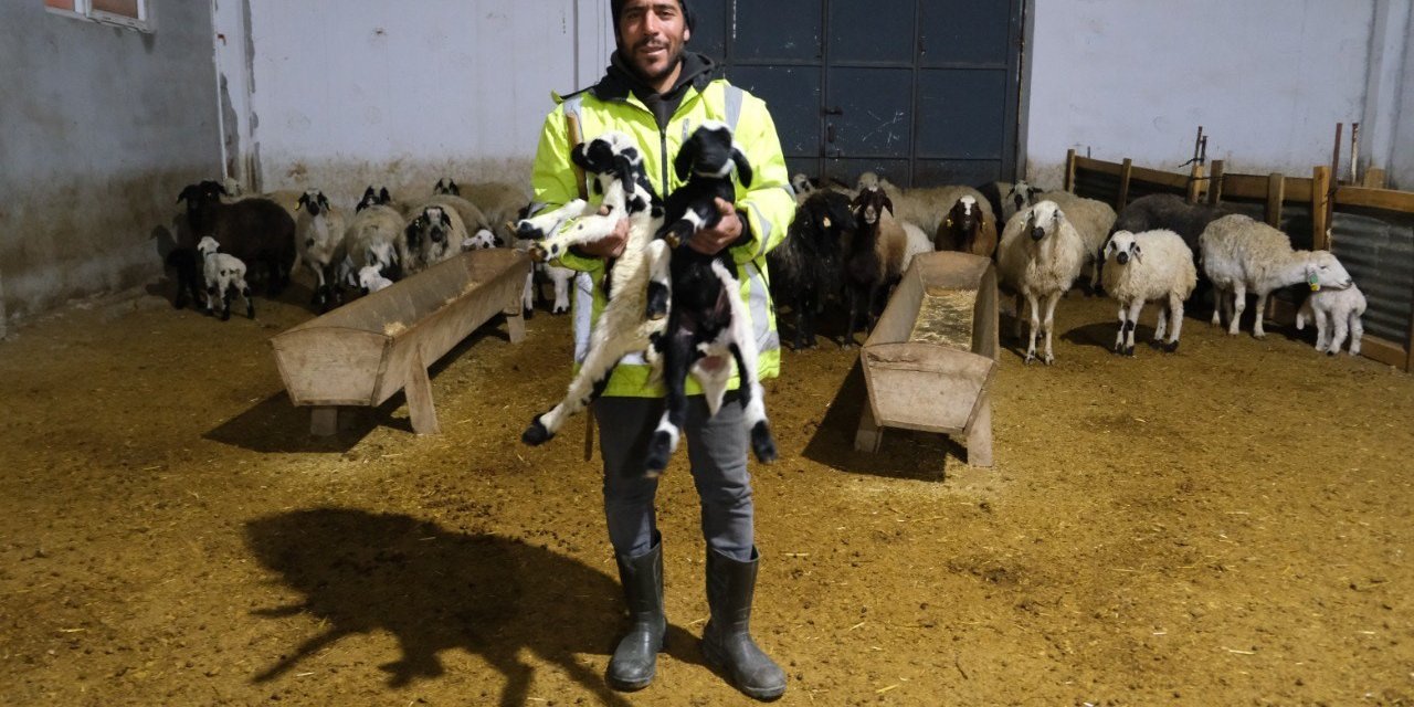 Erzincanlı üretici yüzde 50 hibe desteğiyle 8 Milyon TL’lik çiftlik kurdu