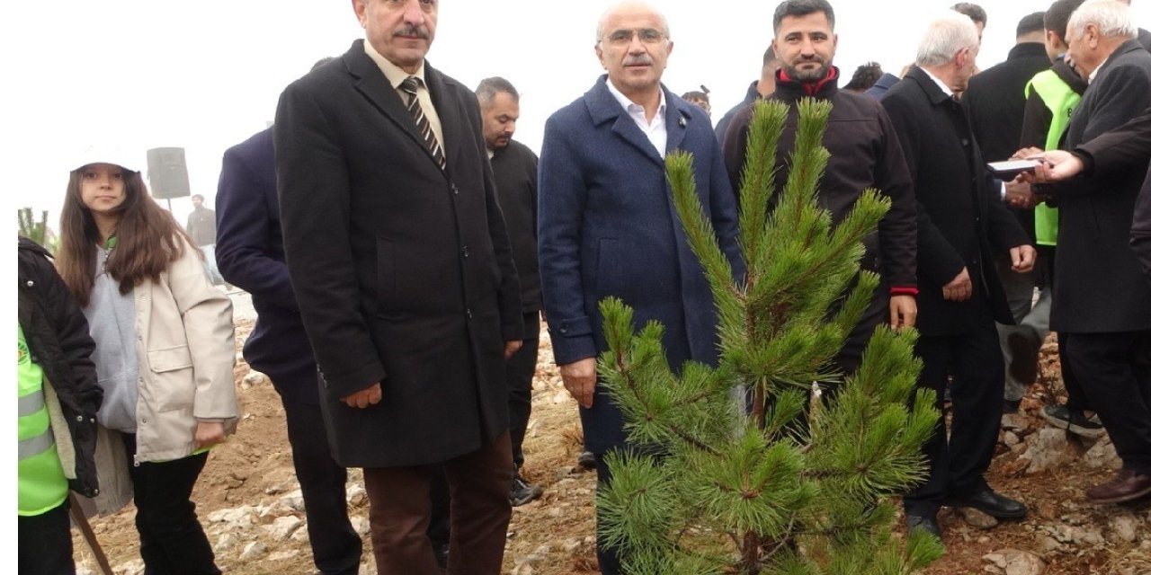 Beydağı’nın etekleri 10 bin 444 ağaçla geleceğe nefes oldu