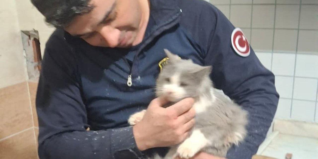 Malatya’da havalandırma boşluğuna düşen kedi kurtarıldı