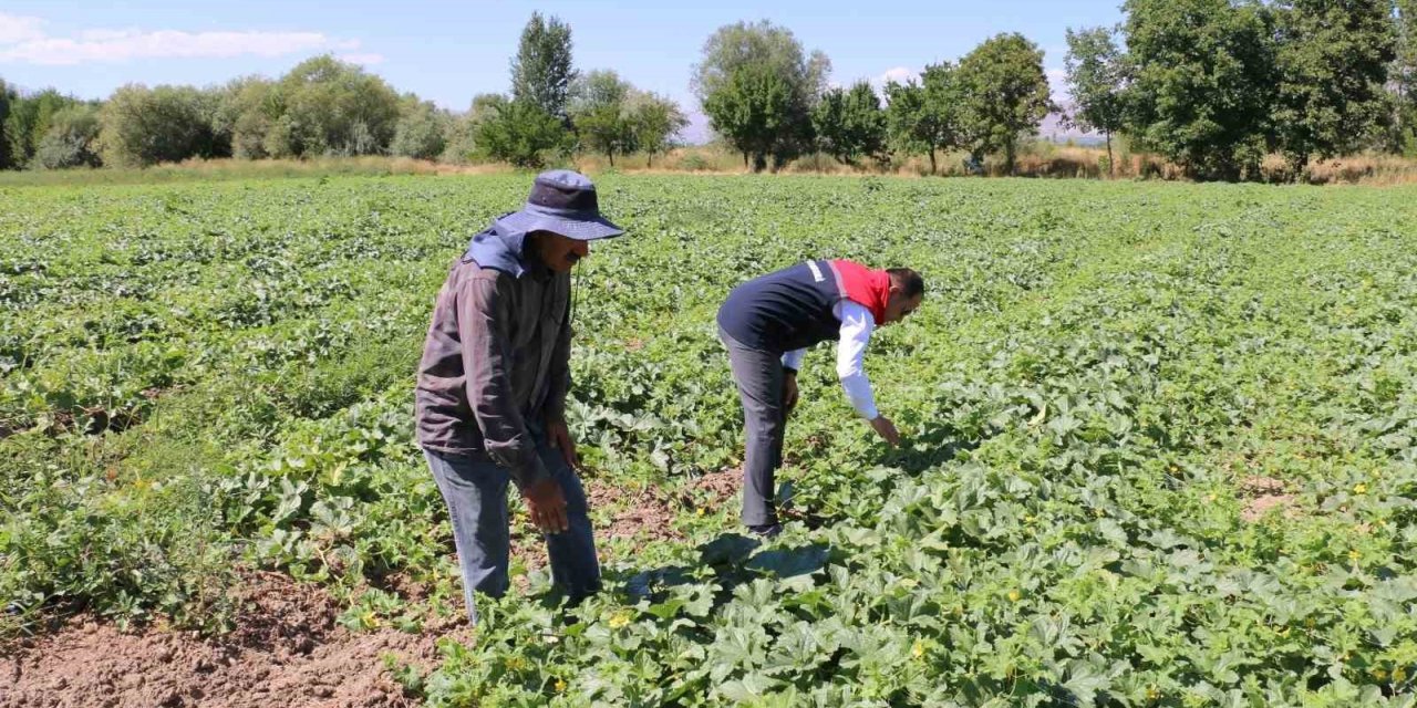ÇKS başvuruları 31 Aralık’ta sona eriyor