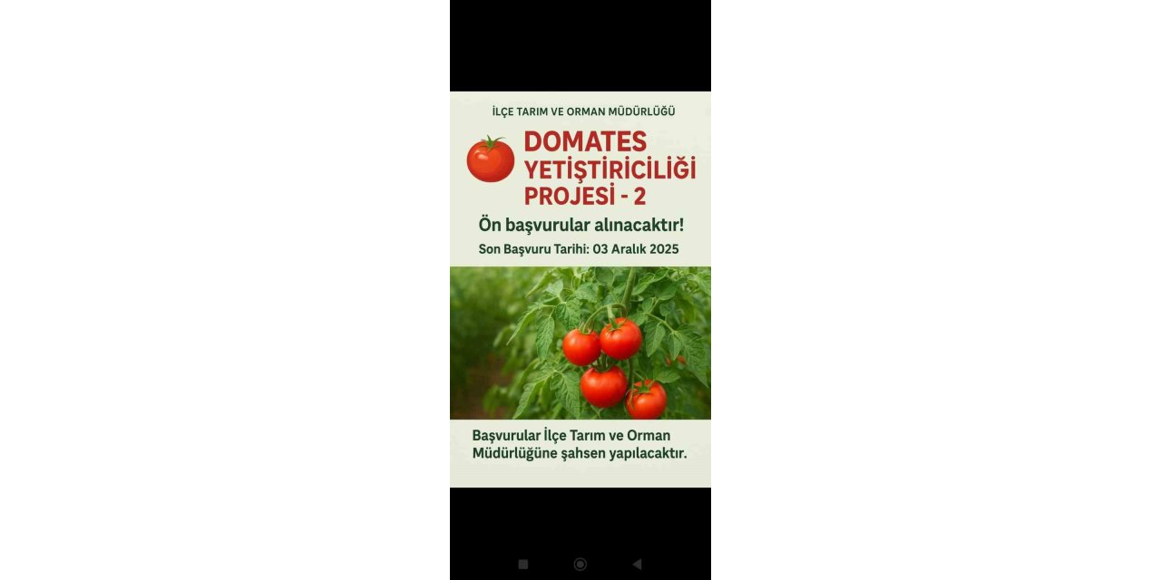 Muradiye’de "Domates Yetiştiriciliği" projesi için ön başvurular başladı