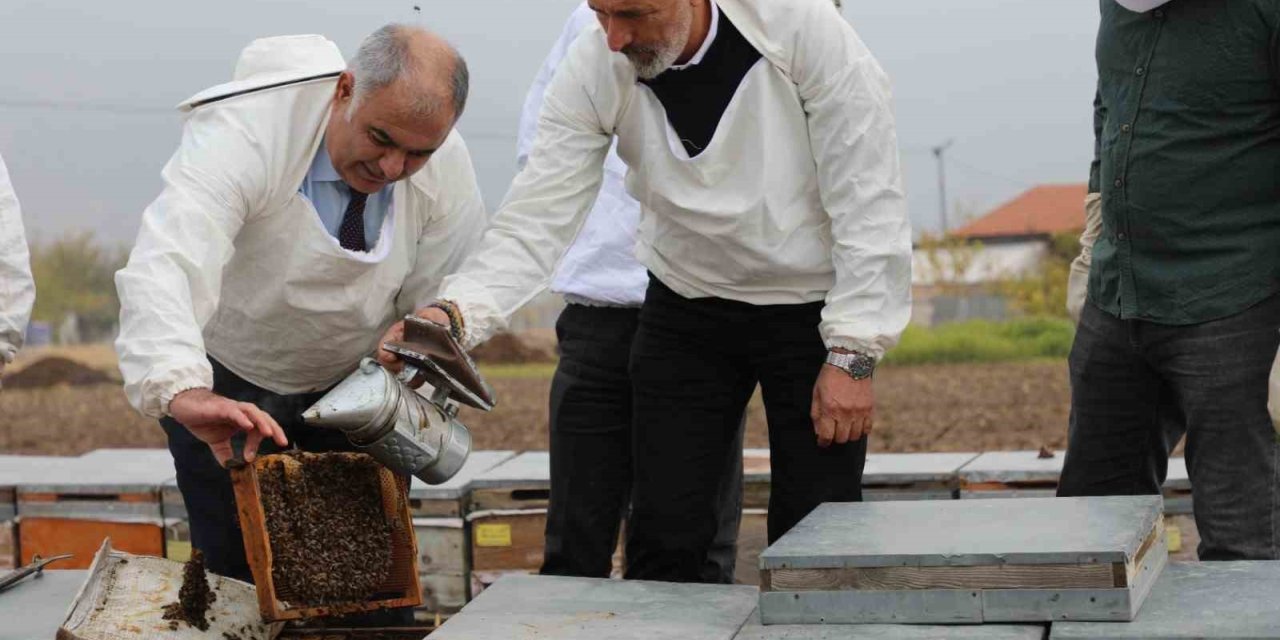 Elazığ arı kovanları incelendi