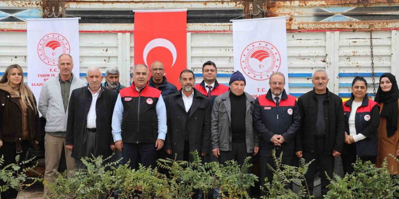 Elazığ’da sumak üretimi artıyor