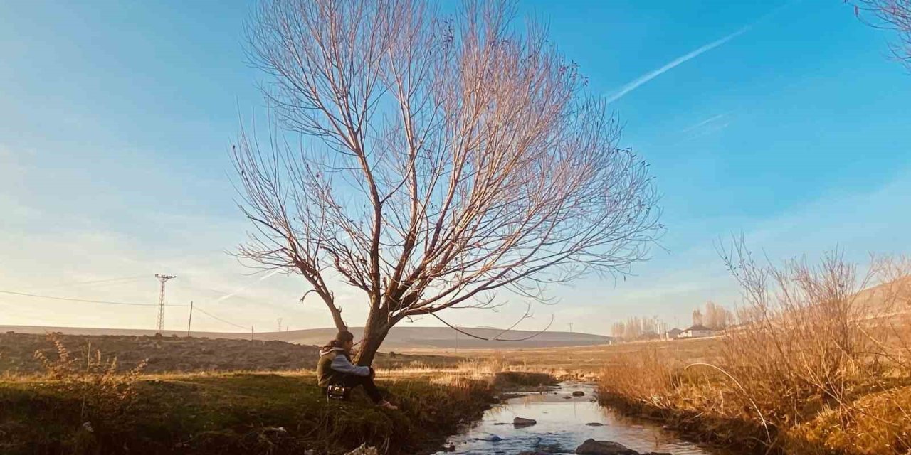 Sonbaharda sararan yapraklar görsel şölen oluşturdu
