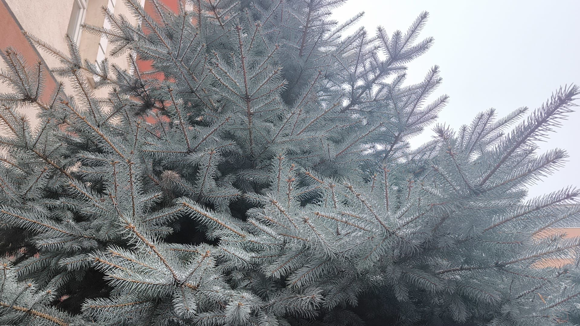 Kars'a kar yağışı etkisini sürdürüyor