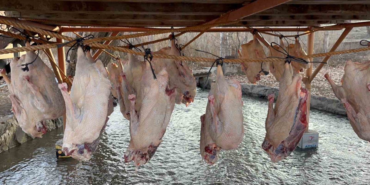 Kars kazı geleneksel yöntemlerle kurutuluyor: Kış sofralarının vazgeçilmezi hazırlanıyor