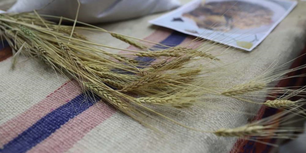 Bölgenin değeri: Ardahan Kavılcası