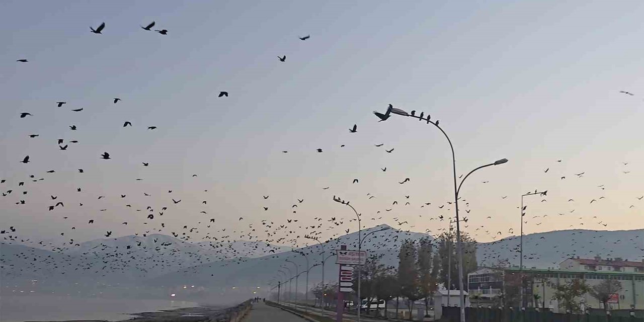 Tatvan sahilinde gökyüzünde sıra dışı manzara