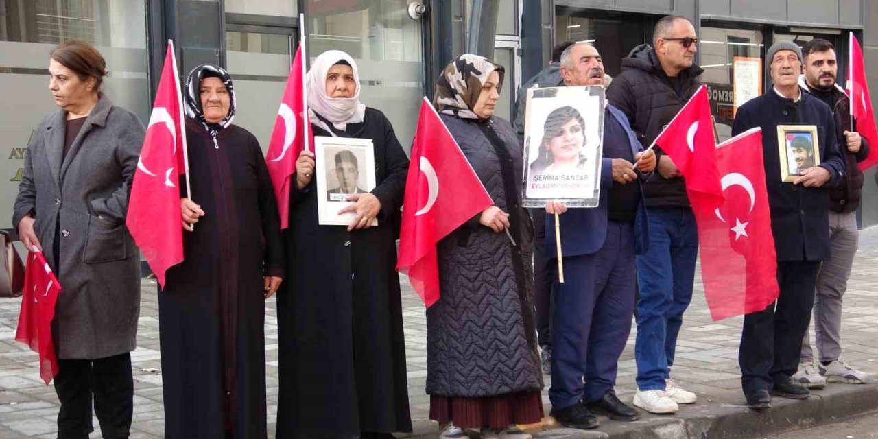 Vanlı annelerin evlat nöbeti 114’üncü haftasında