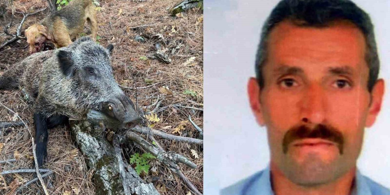 Erzincan’da domuzun saldırısına uğrayan avcı öldü