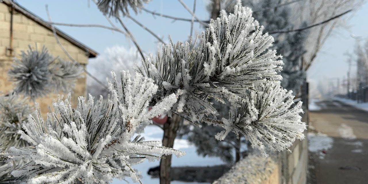 Araçlarını soğuktan korumak için battaniyelerle örtüyorlar