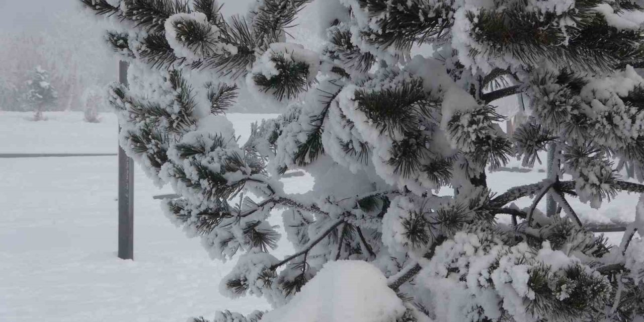 Ardahan’da dondurucu soğuklar etkisini artırdı: Ağaçlar kırağı tuttu
