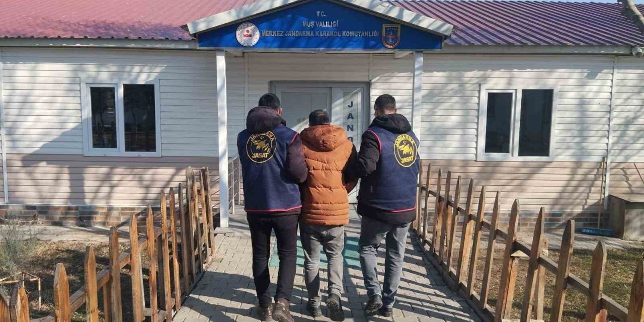 Muş’ta 2 yıl hapis cezası bulunan hükümlü yakalandı