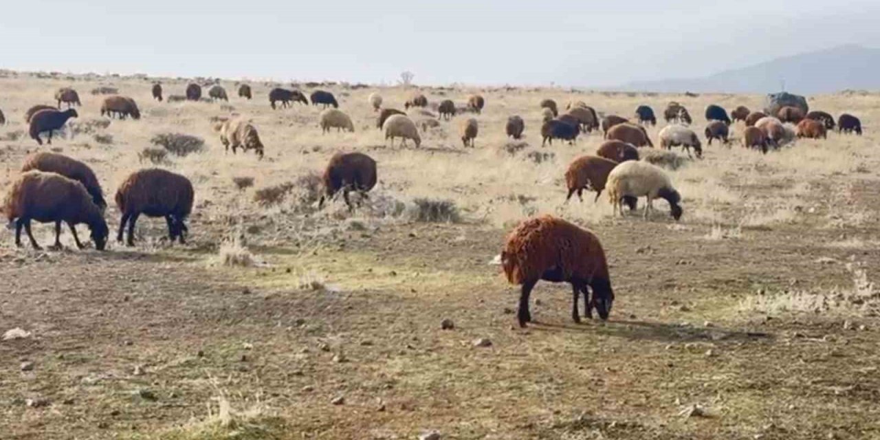 Patnos’ta kar yağmaması çiftçilerin yüzünü güldürdü
