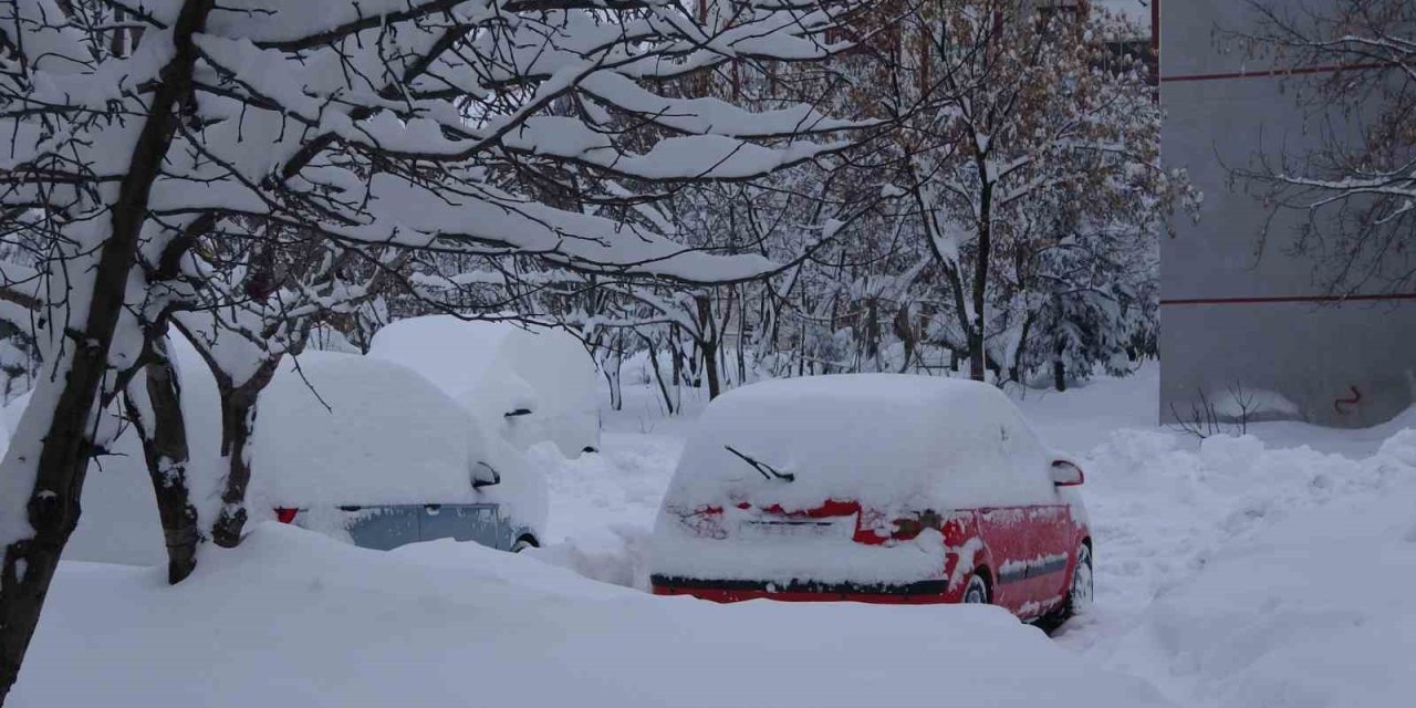 Bitlis’te kar yağışı nedeniyle 87 köy yolu ulaşıma kapandı