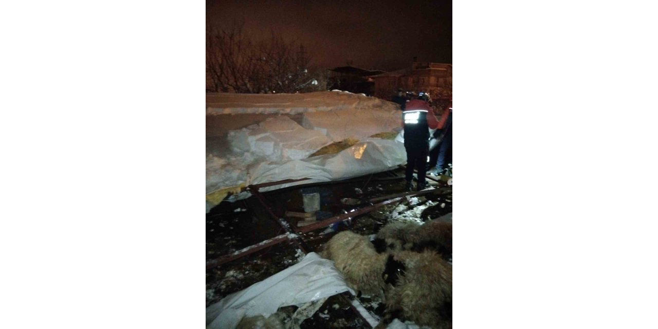 Van’da ahır çöktü, 5 küçükbaş hayvan telef oldu