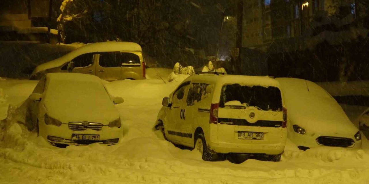 Yoğun kar ve tipi Bitlis’te hayatı olumsuz etkiledi