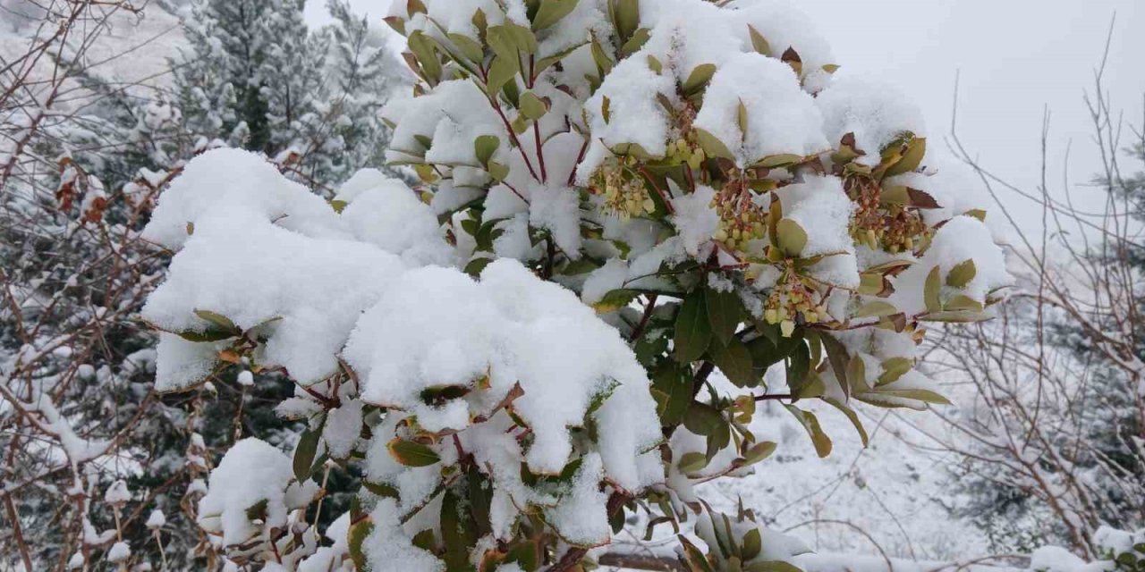 Pütürge’de kartpostallık görüntüler