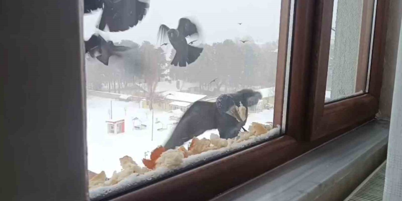 Tatvan’da yürekleri ısıtan davranış