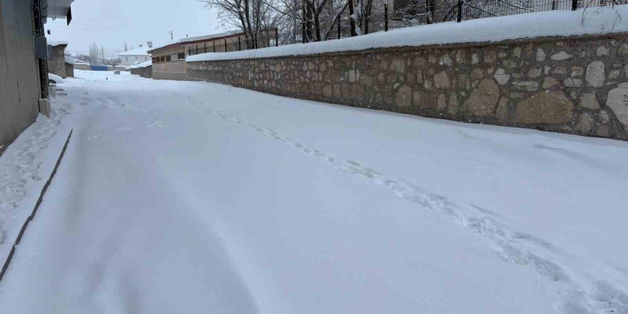 Diyadin’de yoğun kar yağışı hayatı olumsuz etkiliyor
