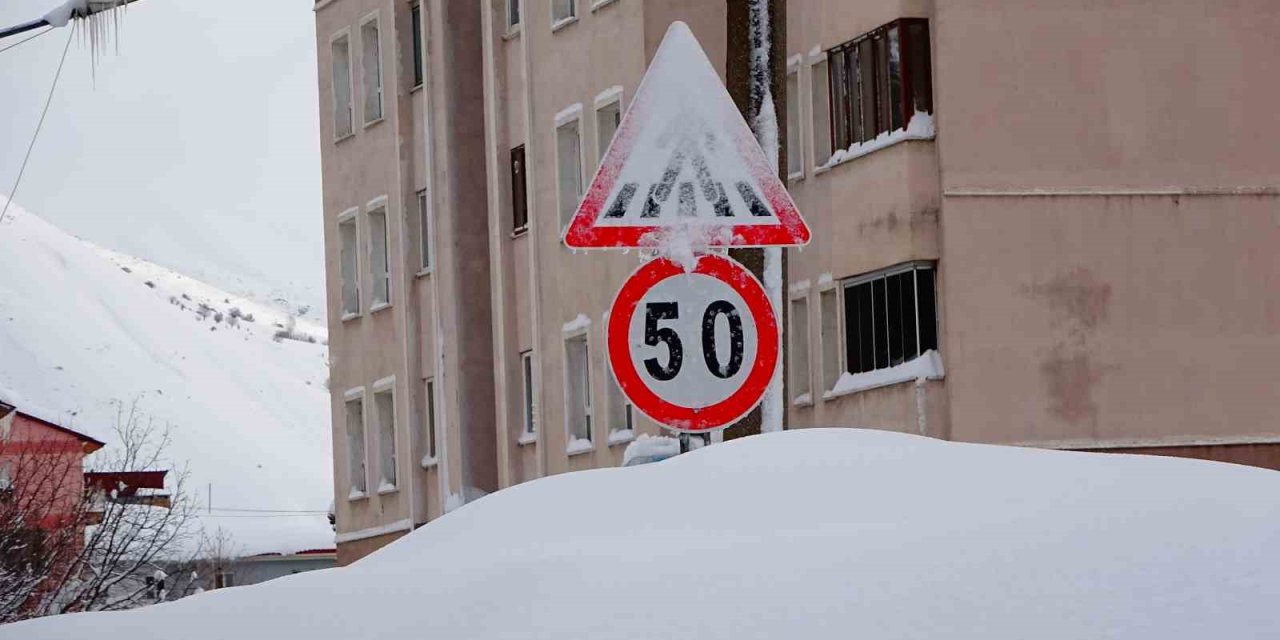 Bitlis kara gömüldü: 294 köy yolu ulaşıma kapandı