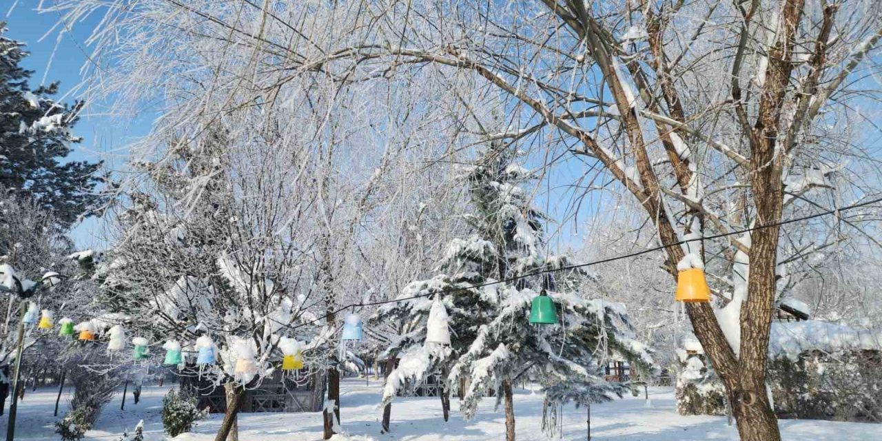 Elazığ’da dondurucu soğuklar: Karakoçan’da termometreler -22’yi gösterdi