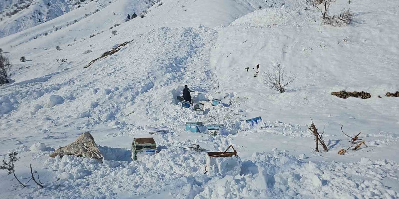 Hakkari’de 32 arı kovanı çığ altında kaldı
