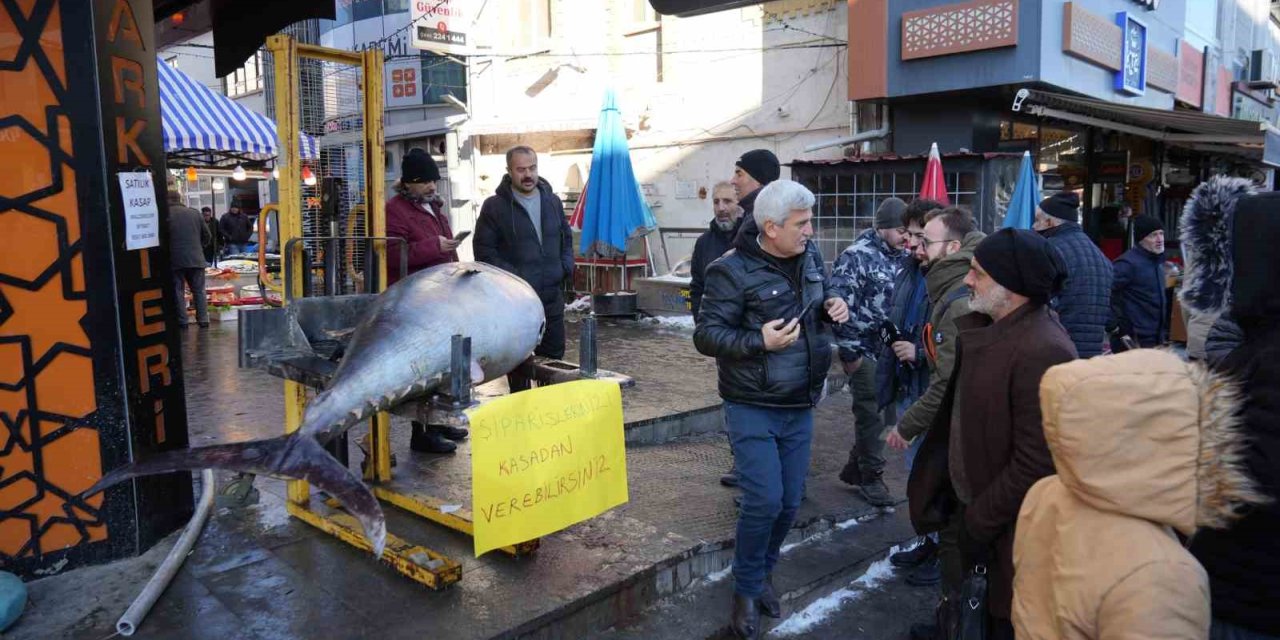 Dev Orkinos Erzincan’da olay oldu! Tezgâh önünde fotoğraf yarışı