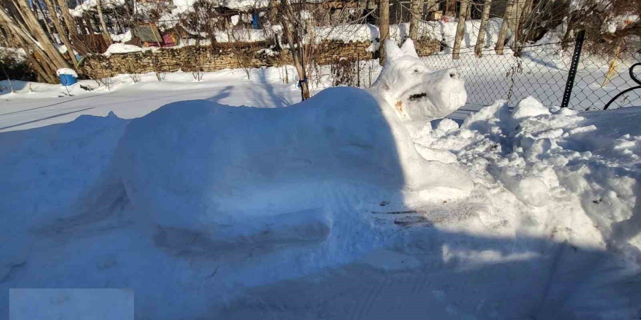 Hakkarili gençten kardan kangal köpeği figürü